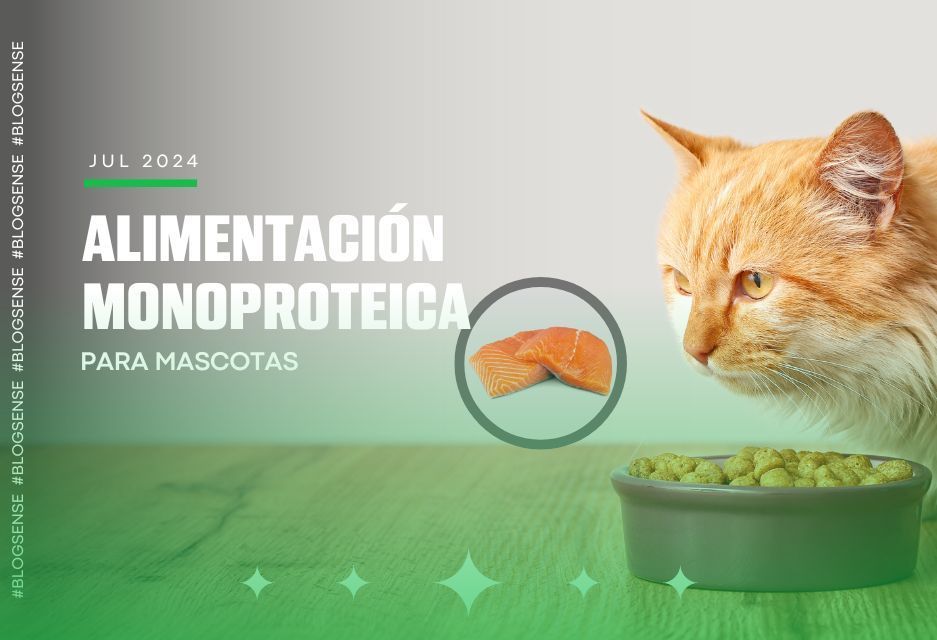 Alimentación monoproteica para mascotas